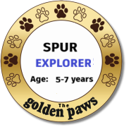 ADVENTURE 2: Find the Golden Paw - Explorers (5–7) (Copy 1)